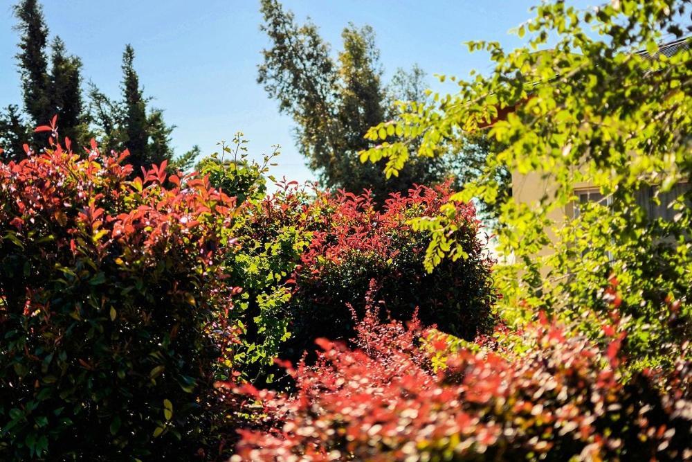 Cabanas De Las Pinturas Villa Sierra de la Ventana Ngoại thất bức ảnh