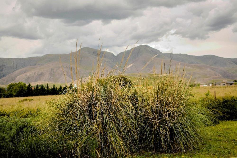 Cabanas De Las Pinturas Villa Sierra de la Ventana Ngoại thất bức ảnh